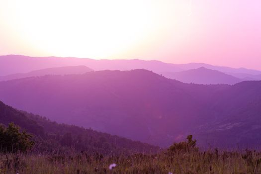 ultra violet purple summer landscape  nature in sunset in mountains and hills on countryside abstract lines and curves background