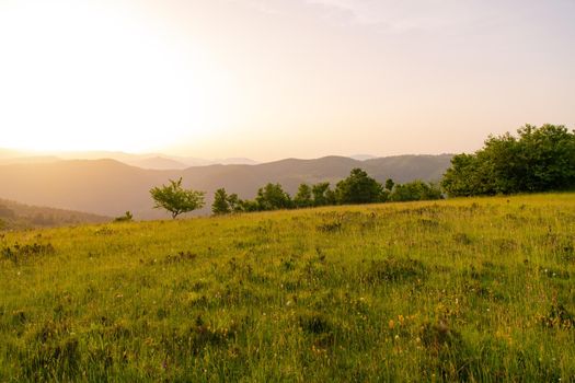 landscape of  summer nature in sunset in mountains and hills on countryside abstract lines and curves background