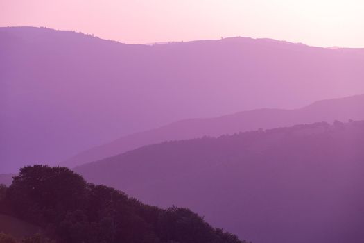 ultra violet purple summer landscape  nature in sunset in mountains and hills on countryside abstract lines and curves background