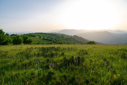 landscape of  summer nature in sunset in mountains and hills on countryside abstract lines and curves background