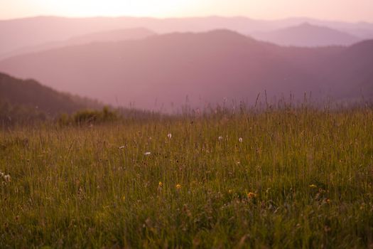 landscape of  summer nature in sunset in mountains and hills on countryside abstract lines and curves background