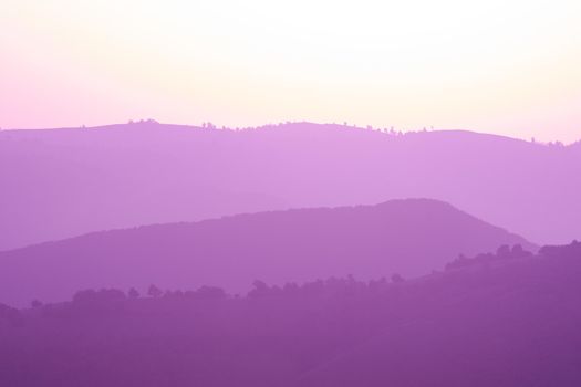 ultra violet purple summer landscape  nature in sunset in mountains and hills on countryside abstract lines and curves background