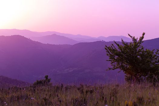 ultra violet purple summer landscape  nature in sunset in mountains and hills on countryside abstract lines and curves background