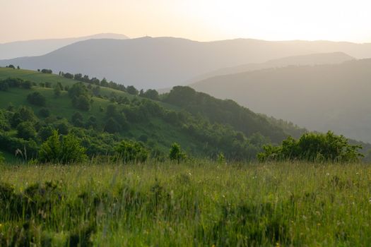 landscape of  summer nature in sunset in mountains and hills on countryside abstract lines and curves background