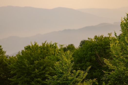 landscape of  summer nature in sunset in mountains and hills on countryside abstract lines and curves background