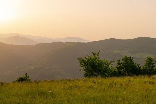 landscape of  summer nature in sunset in mountains and hills on countryside abstract lines and curves background