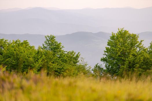 landscape of  summer nature in sunset in mountains and hills on countryside abstract lines and curves background