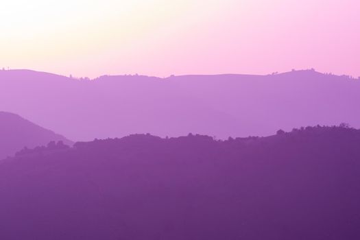 ultra violet purple summer landscape  nature in sunset in mountains and hills on countryside abstract lines and curves background