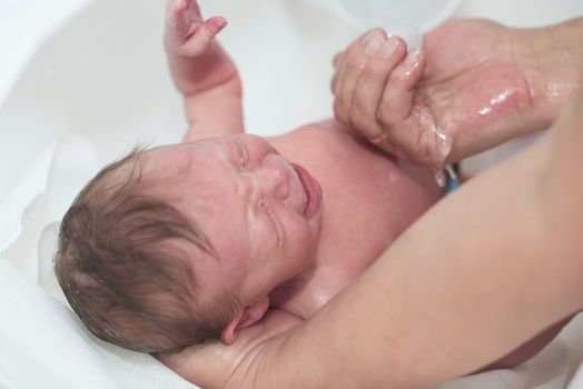 Mother is bathing Newborn baby girl taking a first bath