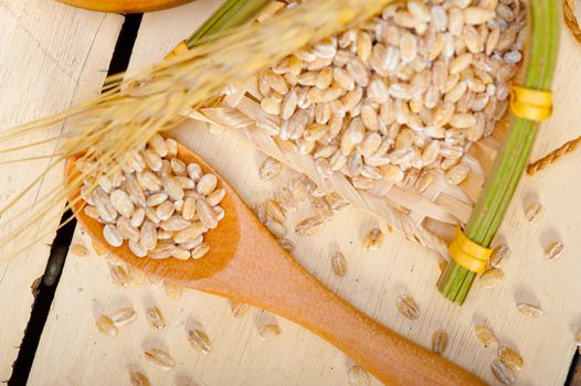 organic wheat grains  over rustic wood table macro closeup