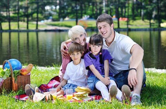 Happy young  family playing together with kids and eat healthy food  in a picnic outdoors