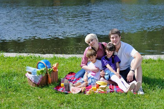 Happy young  family playing together with kids and eat healthy food  in a picnic outdoors