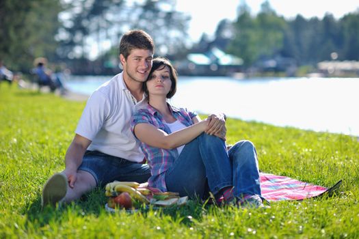 happy young romantic couple in love   having a picnic outdoor on a summer day