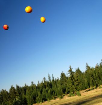 falling fruits in nature