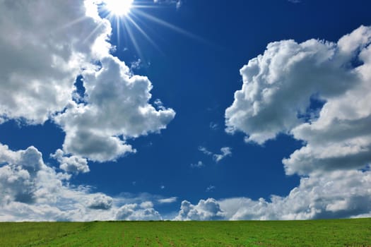 nature background with field of green  grass and perfect blue sky with clouds