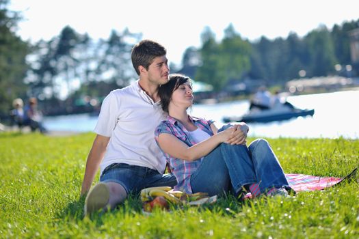 happy young romantic couple in love   having a picnic outdoor on a summer day