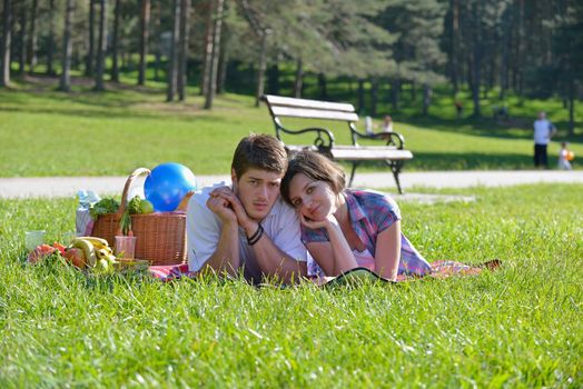 happy young romantic couple in love   having a picnic outdoor on a summer day