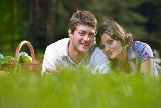 happy young romantic couple in love   having a picnic outdoor on a summer day