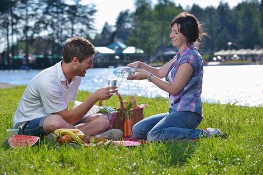 happy young romantic couple in love   having a picnic outdoor on a summer day