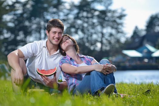 happy young romantic couple in love   having a picnic outdoor on a summer day