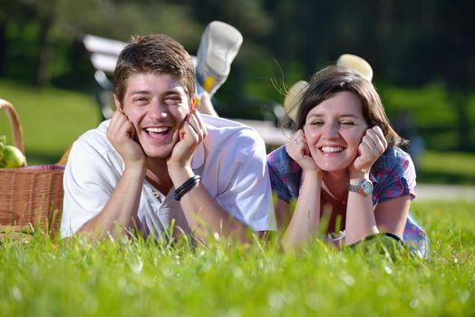 happy young romantic couple in love   having a picnic outdoor on a summer day