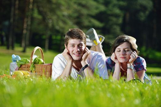 happy young romantic couple in love   having a picnic outdoor on a summer day