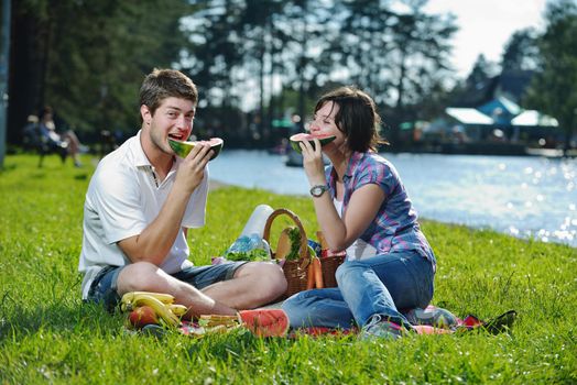 happy young romantic couple in love   having a picnic outdoor on a summer day