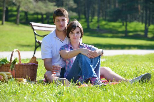 happy young romantic couple in love   having a picnic outdoor on a summer day