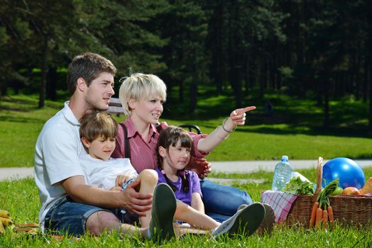 Happy young  family playing together with kids and eat healthy food  in a picnic outdoors