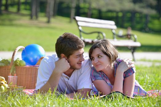 happy young romantic couple in love   having a picnic outdoor on a summer day