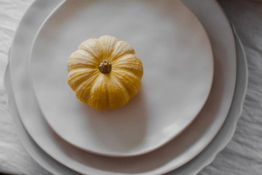 Lovely tiny yellow pumpkin placed on the top of a pile of plates on the table