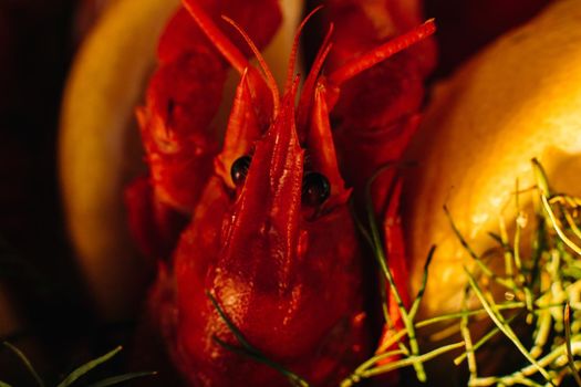 Macro stock photo of a boiled crayfish or clawfish in artificial light. Prepared lobster in close-up.