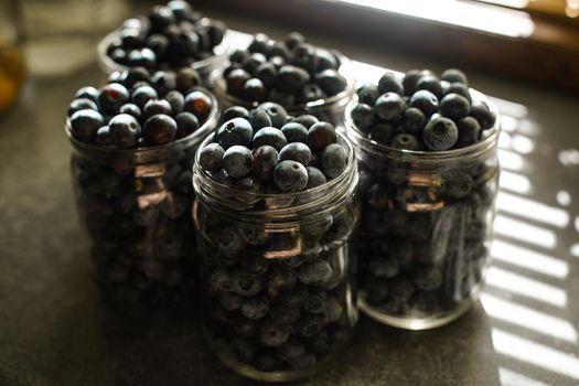 Several jars full of picked blueberries or honeysuckle berries on kitchen table in sunlight.