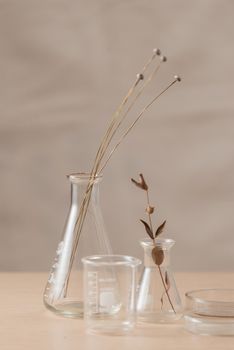 Glass flask with flowers on table in laboratory