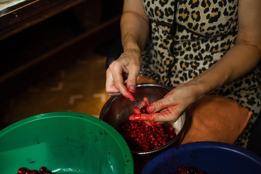 Woman cleans cherries from seeds before cooking jam or juice