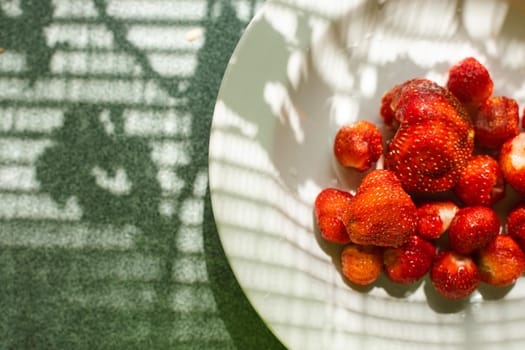 Top view of a ceramic plate full of fresh and sweet organic strawberries picked in the garden in sunlight. Window shade on the kitchen table.