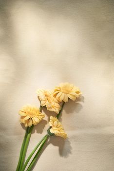 Beautiful flowers on yellow background