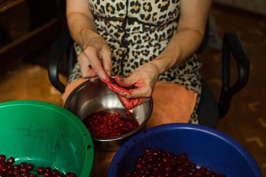 Cropped stock photo of an anonymous woman pitting cherries in different bowls after harvesting. Pitted cherries in blue bowl. Green basin is for whole cherries.