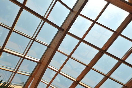 modern home roof wood roof construction with many windows blue sky and green palm leafs