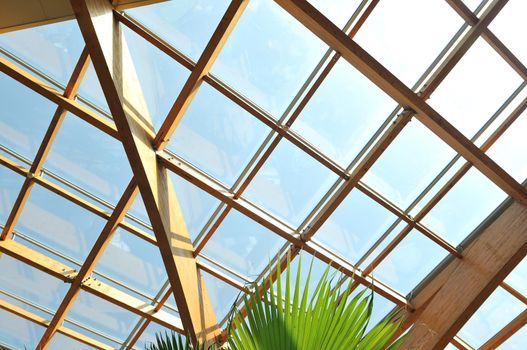modern home roof wood roof construction with many windows blue sky and green palm leafs