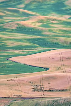 Green rolling hills of farmland wheat fields seen from the Palouse washington