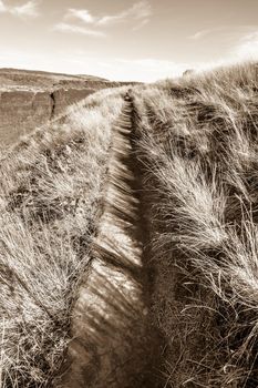 Grass Field in Fall, Palouse Falls State Park, WA