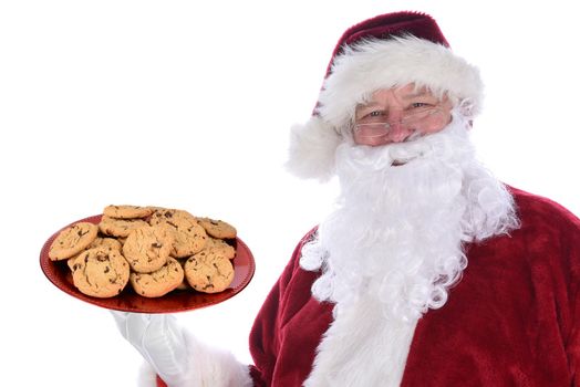 Santa Claus holding a large red platter full of fresh baked chocolate chip cookies, isolated on white.