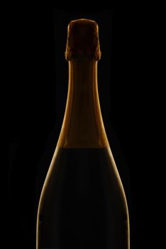 Closeup of an unopened bottle of Champagne against a black background, silhouette with side highlights