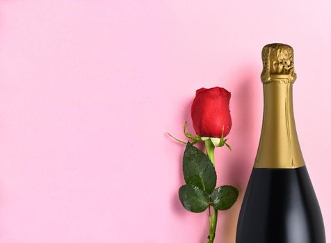 Closeup of a Single Rose and Champagne Bottle on Pink Background with copy space.
