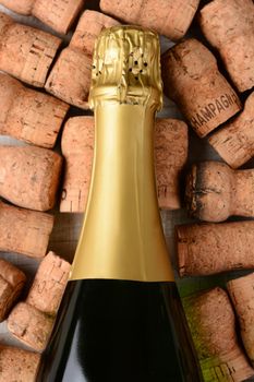 High angle closeup shot of a champagne bottle laying on its side on top of old used corks. Vertical format on a rustic white wood background.