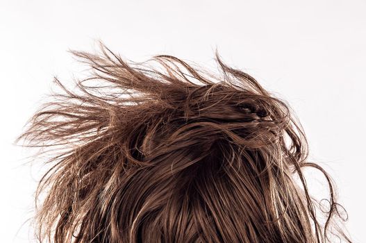 Closeup of a morning bed head with a natural messy hair from behind of young man in his 20s, isolated on white - Concept of hangover, insomnia, sleeplessness, confident appearance or casual hipster hairstyle.