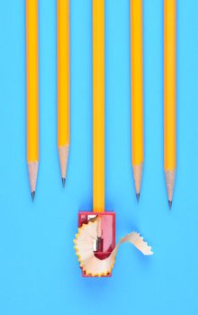 Back to School Concept: Yellow Pencils with a sharpener and shavings, on a blue background.