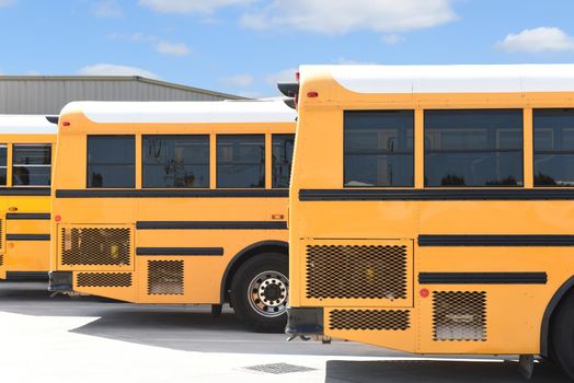 Close up of the rear third of three school busses parked in a lot.