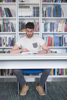 Student reading book in school library. Study lessons for exam. Hard worker and persistance concept.